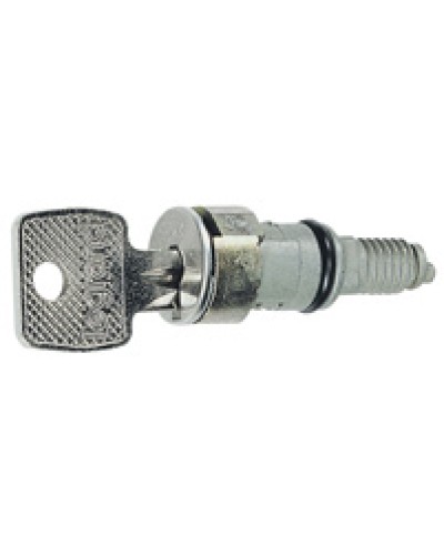 Вставка замка с ключами № 405 Legrand 036822 в Абакане Полки для шкафов и стоек Pintop.ru