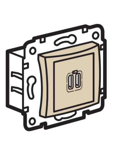 Устройство зарядное с коннекторами USB Legrand (774170) в Абакане Аксессуары для кабель-канала Pintop.ru