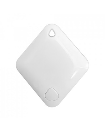 Брелок-идентификатор BLE ProxWay PW-Tag S1 W в Абакане Оптовые идентификаторы Pintop.ru