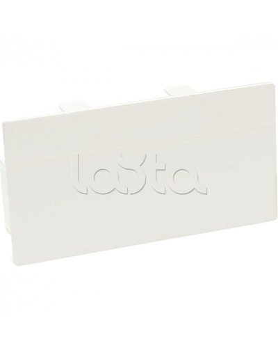 Заглушка торцевая для кабельного канала 100х50 SPL 100002S в Абакане Аксессуары для кабель-канала Pintop.ru