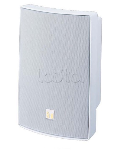 Громкоговоритель универсальный двухполосный TOA BS-1030W в Абакане Системы оповещения и трансляции TOA Pintop.ru