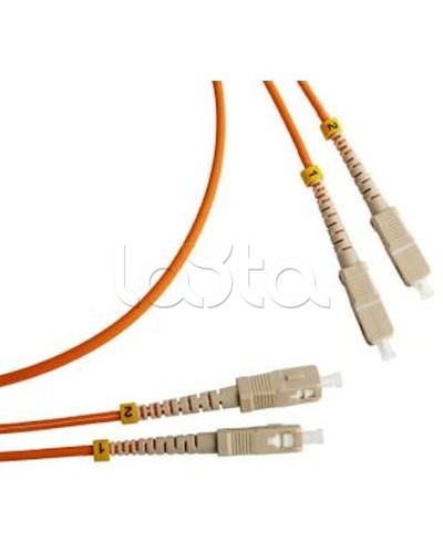 Патч-корд оптический TWT-2ST-2FC/SU-2.0 в Абакане Патч-корды оптические Pintop.ru