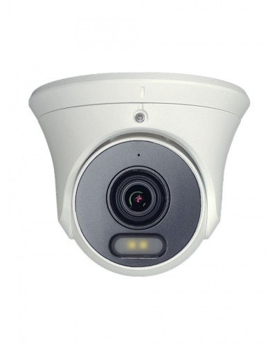 IP-видеокамера в купольном исполнении уличная Tantos TSi-Ee50FPN в Абакане IP-камеры Pintop.ru