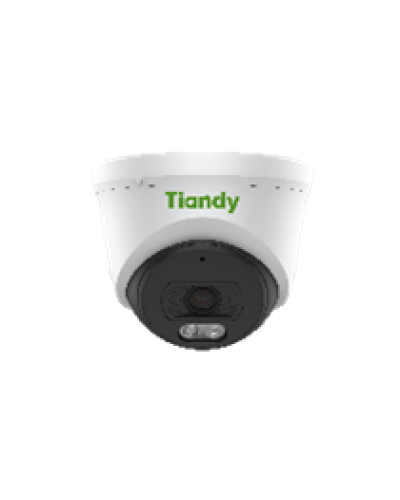 Уличная купольная IP-камера Tiandy AK TC-C320N Spec:I3/E/Y/2.8mm в Абакане IP-камеры Pintop.ru