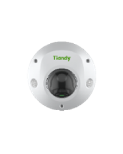 Купольная IP-камера Tiandy TC-C32PS Spec:I3/E/Y/M/H/4mm/V4.2 в Абакане IP-камеры Pintop.ru