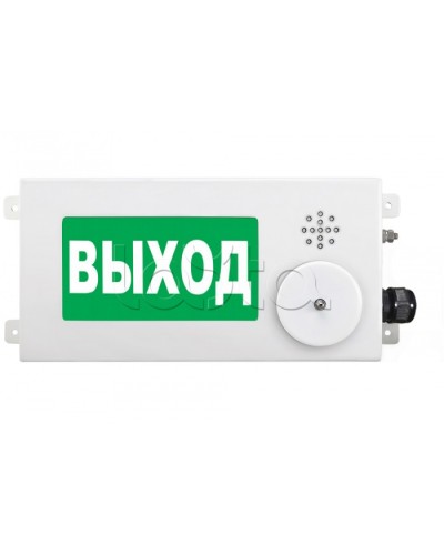 Табло световое взрывозащищенное Спектрон ТСВ-Exm-М-Прометей-МИНИ 220В в Абакане Оповещатели Ex Pintop.ru