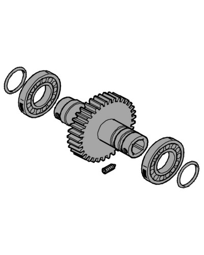 Вал выходной EMEGA Came 119RIE062 в Абакане Запчасти для шлагбаумов и автоматики Pintop.ru