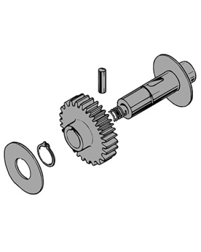 Вал в сборе C100 Came 119RIC011 в Абакане Запчасти для шлагбаумов и автоматики Pintop.ru