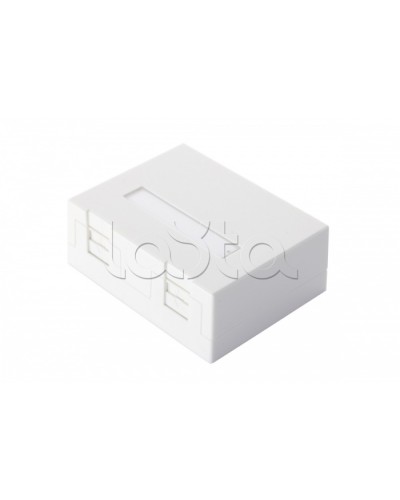 Настенная коробка 2-портовая со шторками, белый Eurolan (12B-04-02WT-2) в Абакане Розетки компьютерные и телефонные Pintop.ru