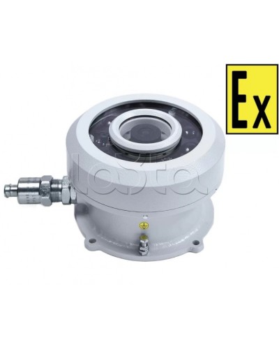 Видеокамера взрывозащищенная Компания СМД Орион МК ВК FishEye-А в Абакане Взрывозащищенные камеры Pintop.ru