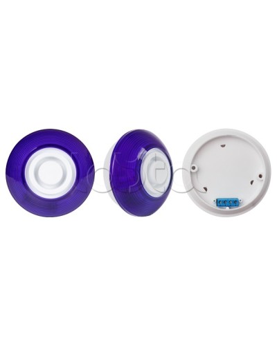 Оповещатель комбинированный SLT Марс 12-КП (строб, син) в Абакане Оповещатели Pintop.ru