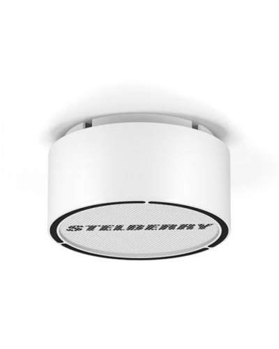 Громкоговоритель STELBERRY F-306W в Абакане Акустические системы Pintop.ru