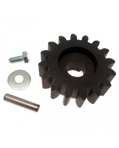 Шестерня ведущая BZ Came 119RIBZ005 в Абакане Запчасти для шлагбаумов и автоматики Pintop.ru