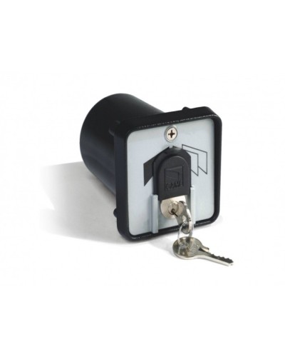 Ключ-выключатель с защитой цилиндра, встраиваемый Came 001SET-K в Абакане Запчасти для шлагбаумов и автоматики Pintop.ru