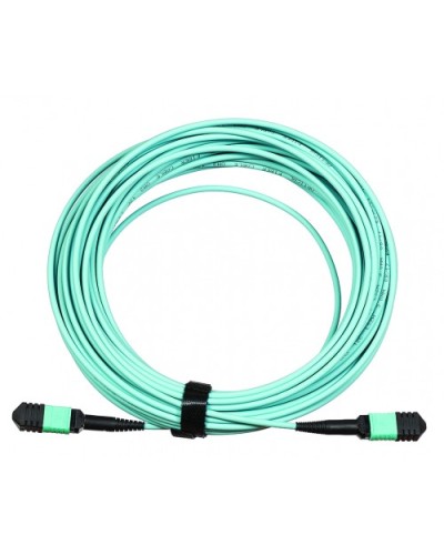 Сборка кабельная LANMASTER (LAN-12M-12M/OM3B-5.0) в Абакане Коннекторы Pintop.ru