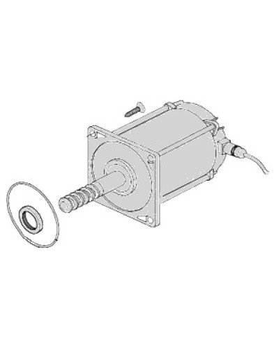 Электродвигатель Came 119RIA025 в Абакане Запчасти для шлагбаумов и автоматики Pintop.ru