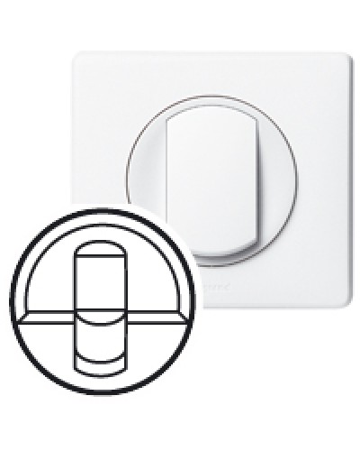 Клавиша для выключателя Celiane Legrand 068251 в Абакане Аксессуары для кабель-канала Pintop.ru